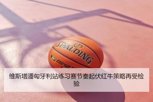 维斯塔潘匈牙利站练习赛节奏起伏红牛策略再受检验